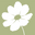 British Native Wildflower Seed, Plugs & Bulbs – Meadowmania UK