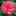 Men's Garden Club of Jacksonville