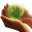 Home - MicroTrace Minerals