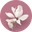 Mill Valley Flowers | Authentic Local Florist for Over 30 Years