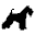 Ykelenstam's Miniature Schnauzers, Miniature Schnauzer, Mini Schnauzer, Puppies,