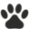 What Was Modernist Cat? - Modernist Cat