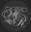 Monica Rachel Calligraphy