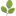 Moringa Trees - buy Moringa Products | Capsules, Powder, Tea, Seeds, Oil
