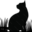 Best Cat Hospital in Morrisville, NC 27520 | Morrisville Cat Hospital