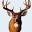 Morse Sporting Goods – A Full Line Sporting Goods Store