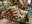 Buy Hammered Dulcimer Online - Mountain Made Music