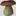 Welcome to Daniel Winkler's Web-pages Dedicated to Mushroom Eco-Tours | Mushroaming - Daniel Winkler's Webpages Dedicated to Mushrooms and Nature Tours