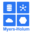 Myers-Holum Solutions - Leaders in NetSuite, Stripe, Celigo, Boomi, and GCP.