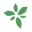 My Wellness House - Holistic Health for People and Animals