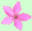 MyWildflowers.com - Search, Browse, Identify