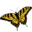 NABA - North American Butterfly Association