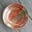 Nan Rothwell Pottery | Functional stoneware pottery, classes, workshops