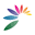 NATCOL | Natural Food colors Association