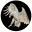 nationaltaxidermists.com