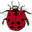 Natural Insect Control – Providing eco-friendly choices for natural pest management and working with people in environmental stewardship to make the world a better place.