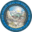 Nevada State Board of Nursing – ….protecting the public’s health, safety and welfare through effective nursing regulation….