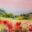 Jacqueline Newbold – Artist, Watercolor, Mixed-media, Art Journaling