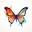 Butterfly Art Designs - Framed Butterflies, Domes and Taxidermy – Newman Art Designs