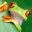 Costa Rica Nicoya Peninsula Travel and Vacation Guide