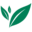 Nutrigreen | Top Quality Certified Green Leaf Cereal Powders