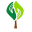 Rising Treetops at Oakhurst | Special Needs Camp & Respite