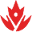 Obesity Canada - Obesity Education, Research and Advocacy