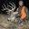 Old School Guide Service & Nickels Farms – – – – – – – – – – – – – – – Northeast Kansas Hunting – Hunting Outfitter