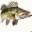 ontariowalleyefishing.com