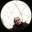Fergus Murray – Arts, Science, Minds