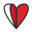 Legacy Donor Foundation New Orleans | Life Continued.
