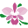 Orquivalle – Producimos las mejores orquídeas colombianas