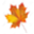 Welcome to Palmer Lane Maple - Award winning Pure Vermont Maple Syrup