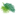 Home - The International Palm Society