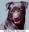 Patterdale Terrier Breeders in Riverside, CA | MQH Patterdale Terriers