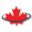 Sports Leagues for Adults in Guelph | Perpetual Motion Sports