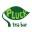 Pluck Tea