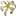 Daylilies for Sale | UK Daylily Nursery | Hemerocallis | UK