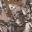Predator Camo Canada – Your Canadian Mail Order Distributor