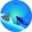 Home Page - Scuba Diving in St Kitts