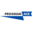 Innovative Solutions Integrator & Custom Software Development Company - Program-Ace