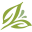 NorQuin | Northern Quinoa Production Corporation
