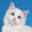 CreekCats Ragdolls – Ragdoll Cattery in San Diego, CA – Cats, kittens for show, breeding and pets