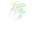 Rainbow Woods Tree Cutting Service – Tree Cutting Advice