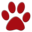 Emergency Animal Clinic - Veterinarian in Birmingham AL | Red Mountain Animal Clinic