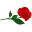 Red Rose Tea | Black Tea, Herbals Tea, Iced Tea