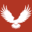 Red Tail Design Co. – Web | Design | Branding | Fabrication