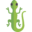 Expert Reptile Care Tips & Guides | Reptile Direct