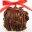 Gourmet Caramel Apples from Richland Gourmet Apples