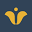 Munster & Hobart Plastic Surgery | Robert Frank, MD